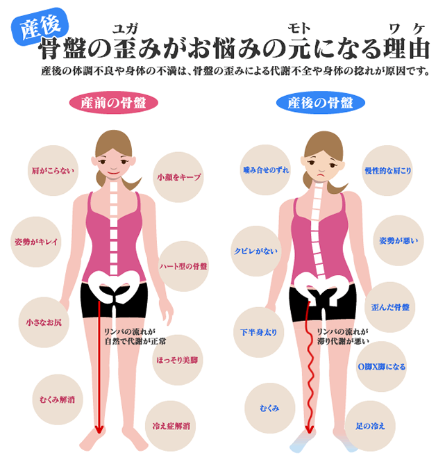 産後骨盤の歪（ゆが）みがお悩みの元（もと）になる理由（わけ）・・・産後の体調不良や身体の不満は、骨盤の歪みによる代謝不全や身体の捻れが原因です。